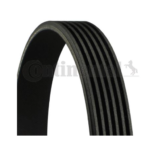 6PK1555CONTI