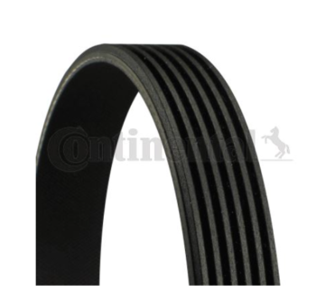 CONTINENTAL - 6PK1555